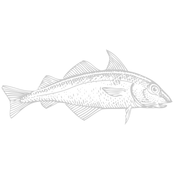 Poisson belge