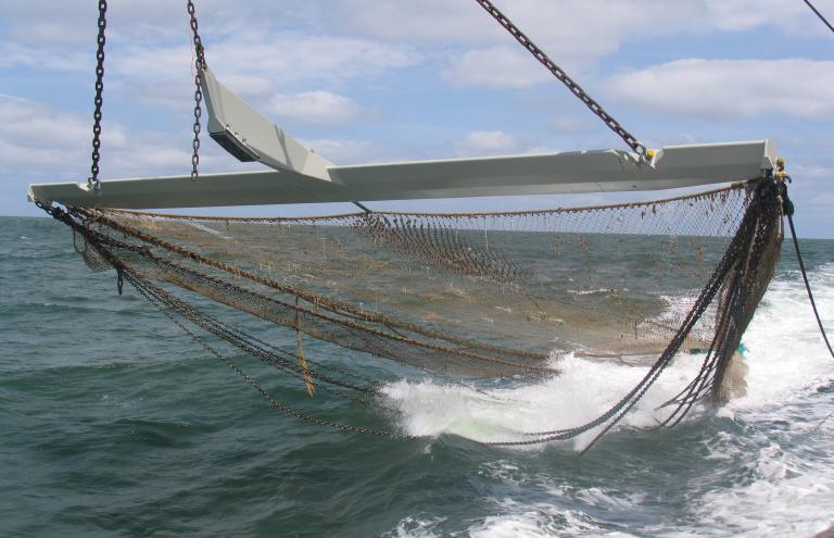 Flämische Fischerei Flämische Fischerei