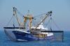 Bateau de pêche flamand au travail sur la mer du Nord